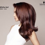 Les Mains D'or Hair & Esthetics - photo 2