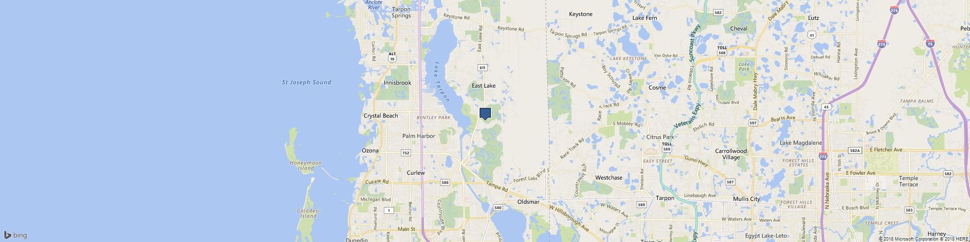 Wild Thing cover photo