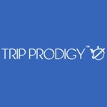 All in One Travel Search Engine - photo 4