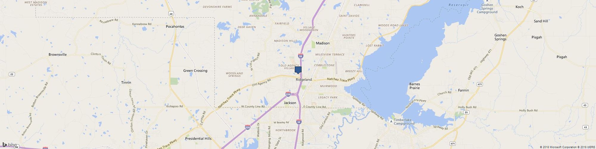 Lotus York cover photo