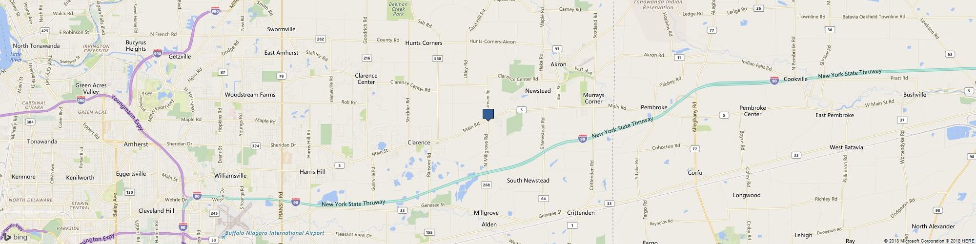 Bird of Paradise Couture Florals cover photo