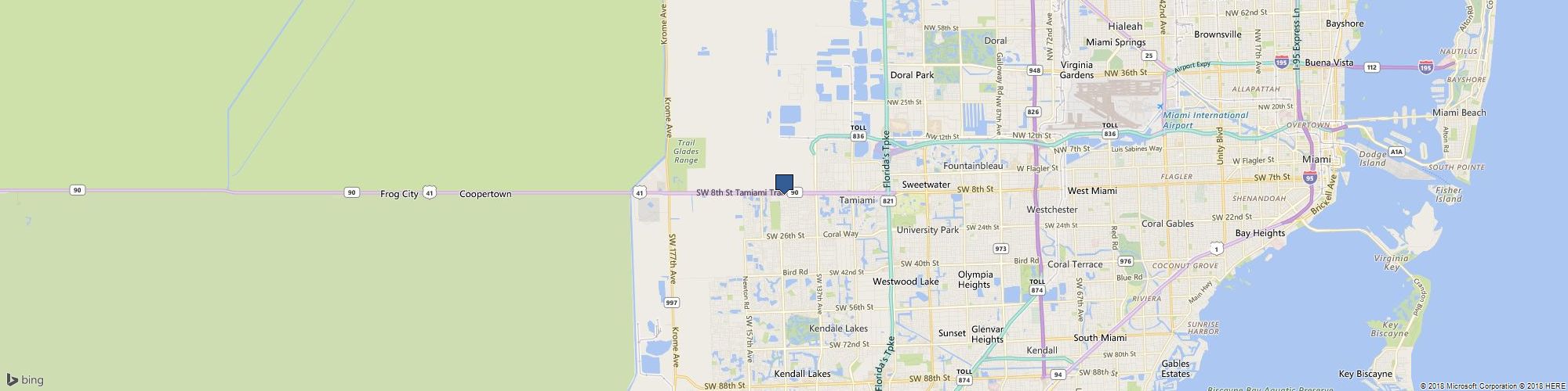 Lynne Koy cover photo