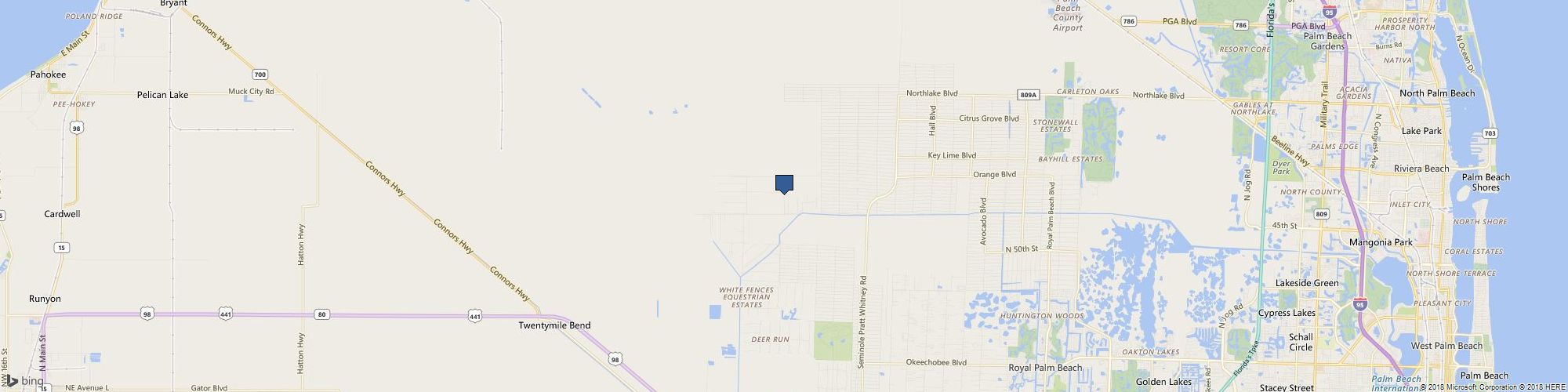 Divine Monkey cover photo