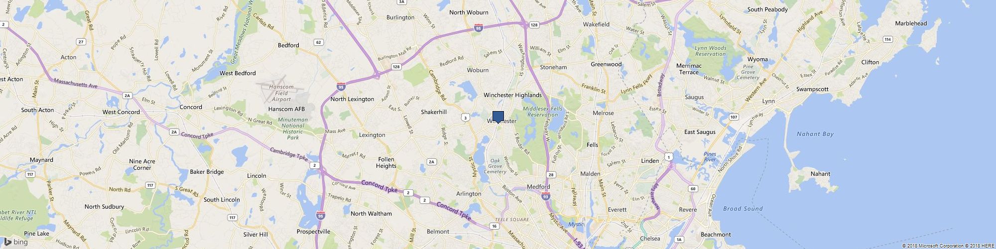 The Health Therapist cover photo