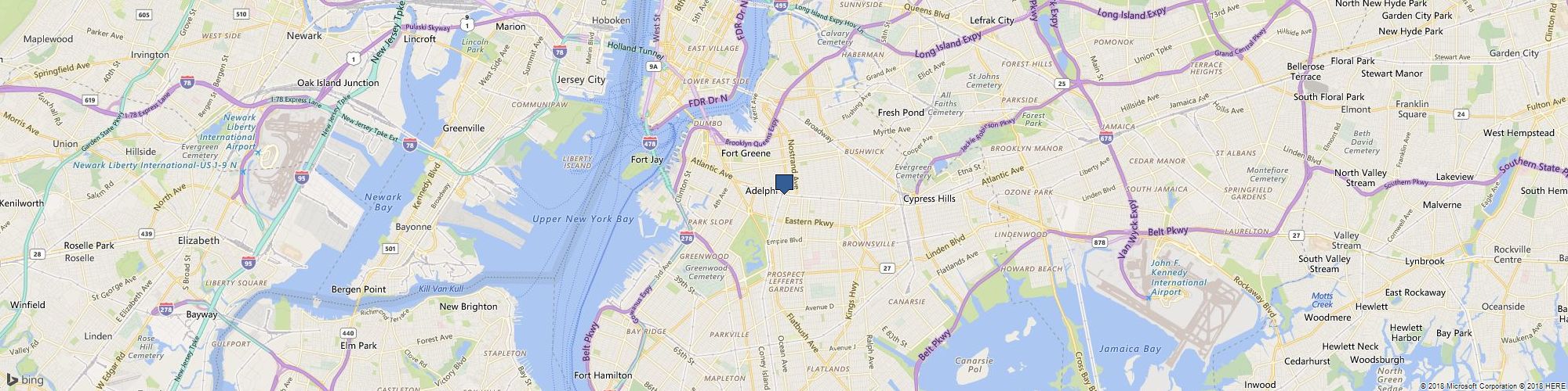 Naomi D'Souza cover photo