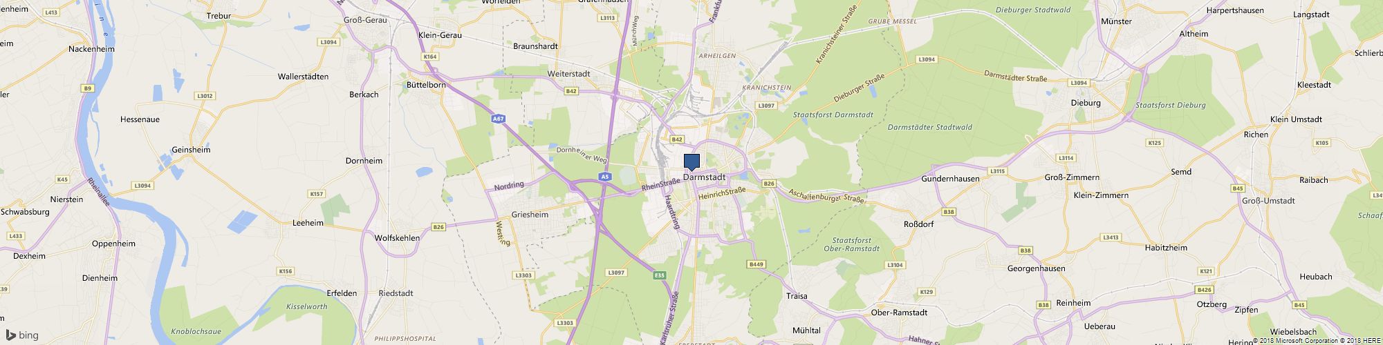 The Precious Pet cover photo