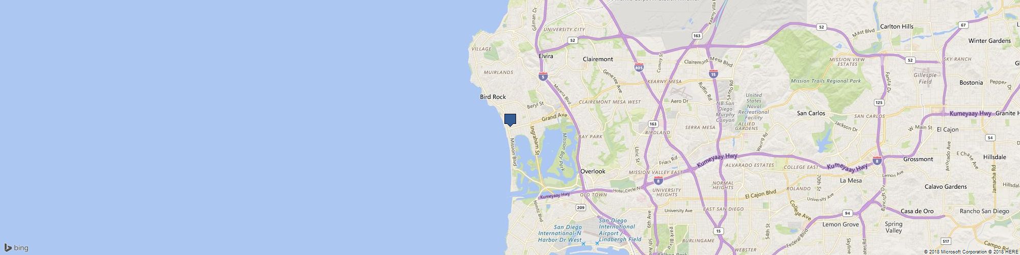 Dolphin I T cover photo