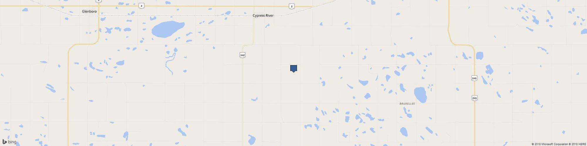 Viva La Zoom cover photo