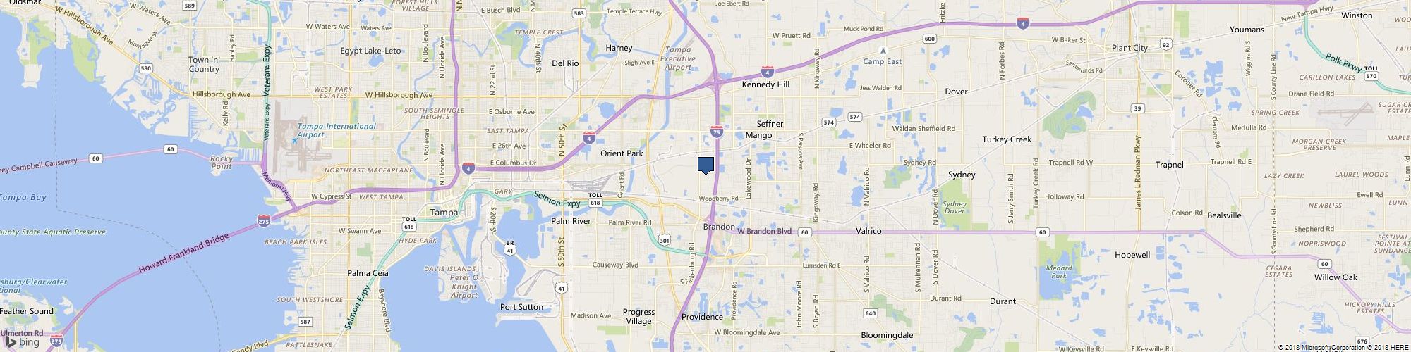 Bright golden cover photo