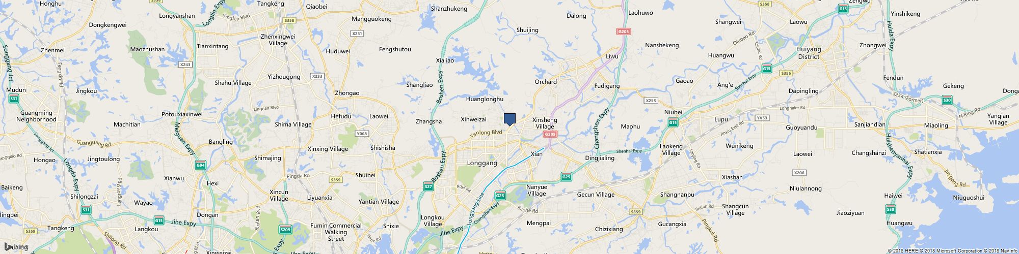 Lion and Sinatra cover photo