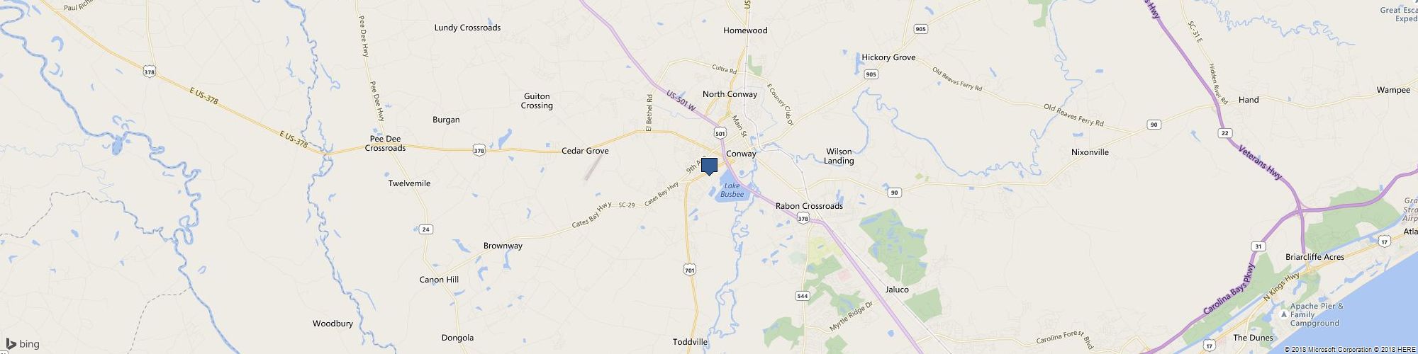 Exotic Expressions cover photo