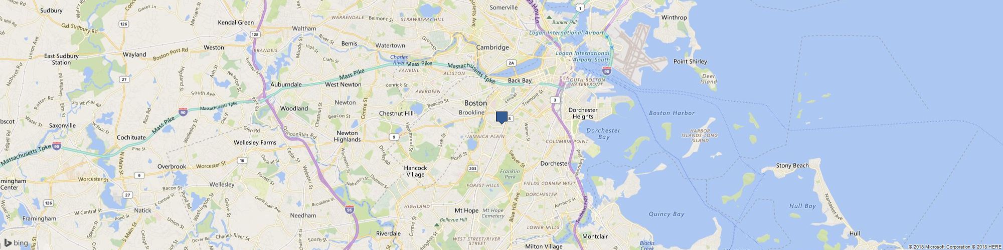 Basil Ginger cover photo