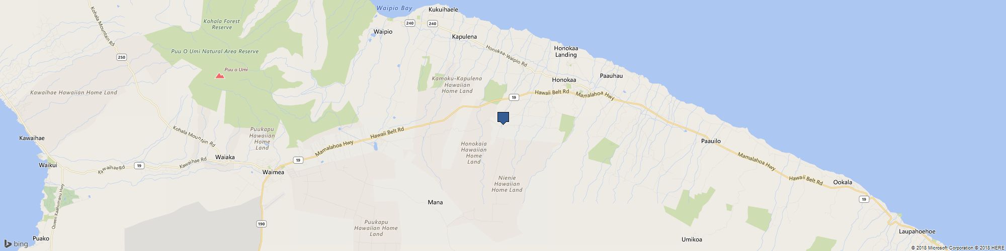 Lipton Inc cover photo