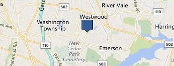 Mi Code Tree Service location map