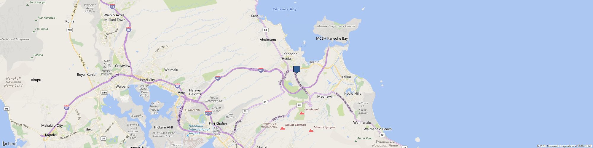 Leis By Ron cover photo