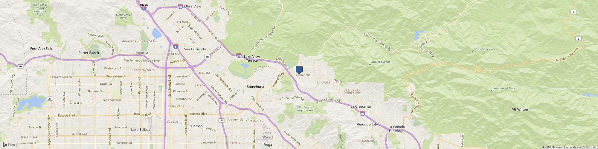 Healthy Puppies Kittens cover photo