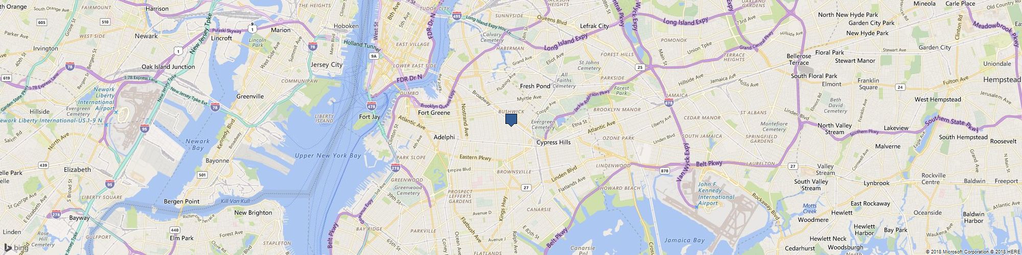 Ace Pest Ltd cover photo