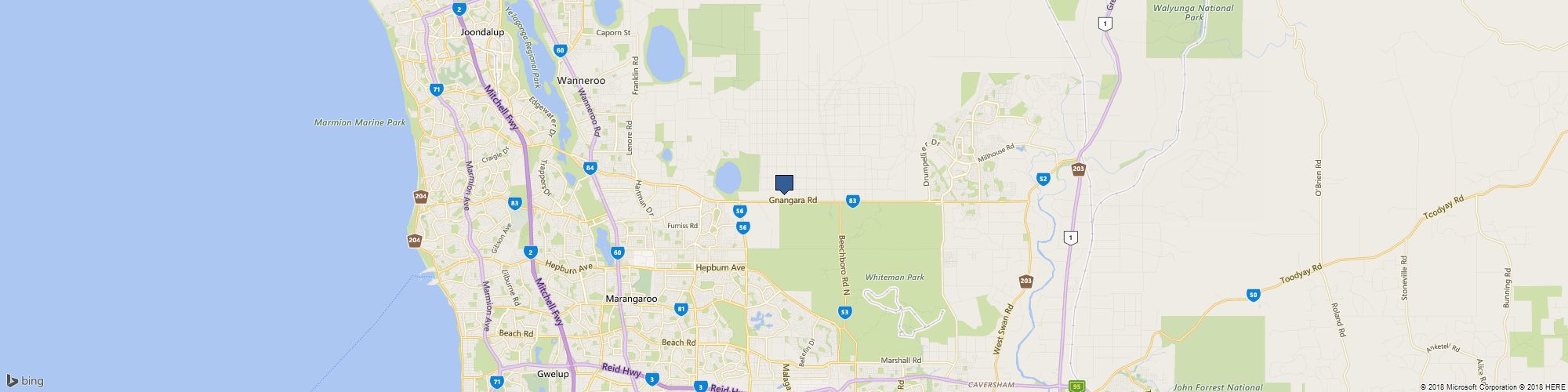 City Livestock cover photo