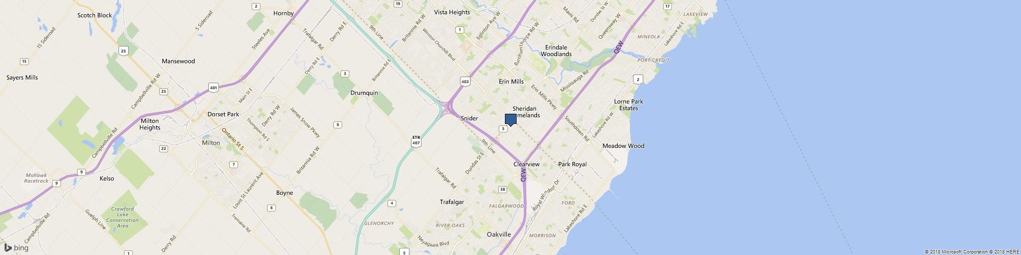 Out On A Limb Tree Surgery cover photo