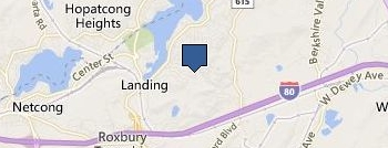 NV Real Estate Pros location map