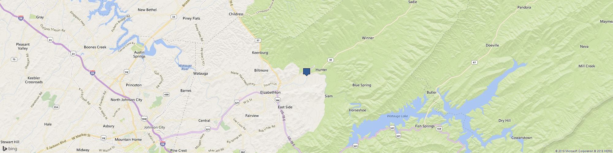 Everything Reptile & Pool Care cover photo