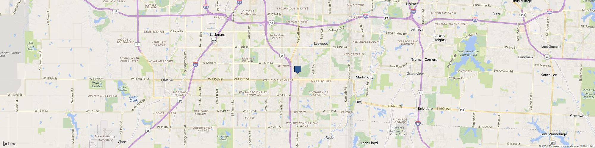 Richardson "No Bull" Insurance cover photo