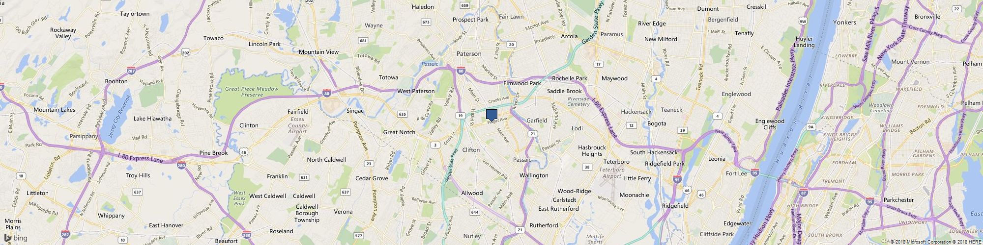 Tampa Tree cover photo