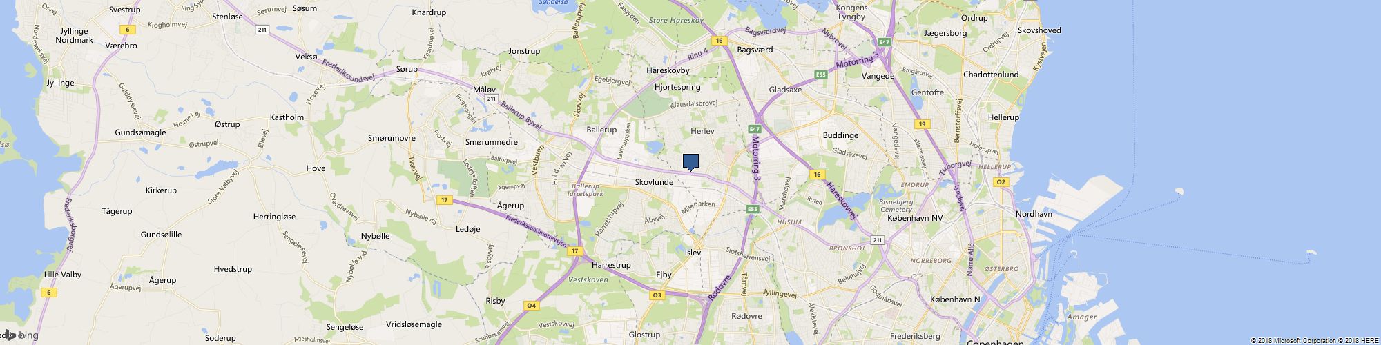 Puppies of Westport cover photo