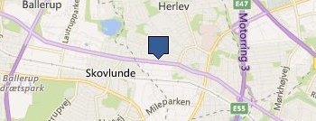 Puppies of Westport location map