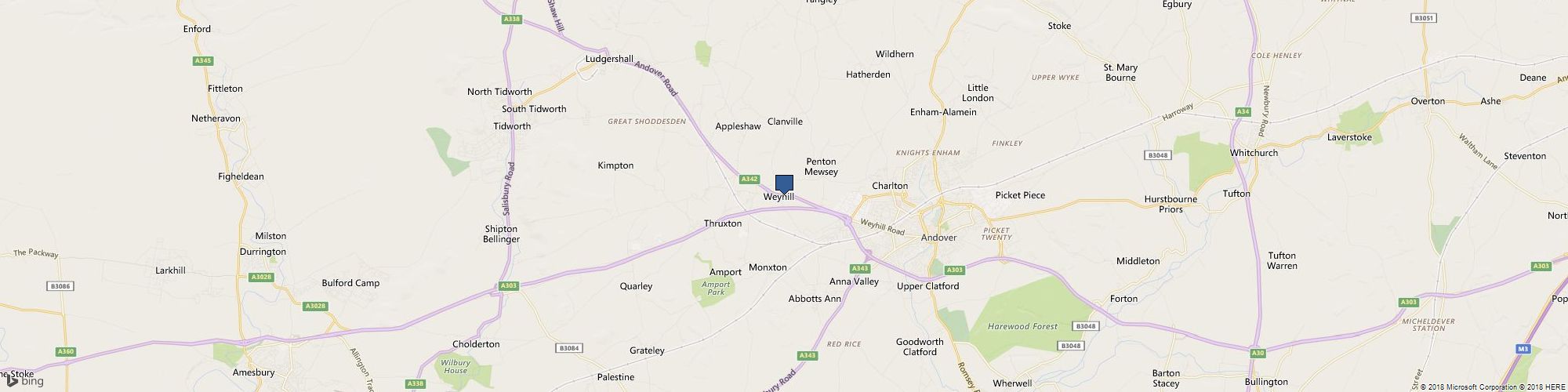 Professional Paws cover photo