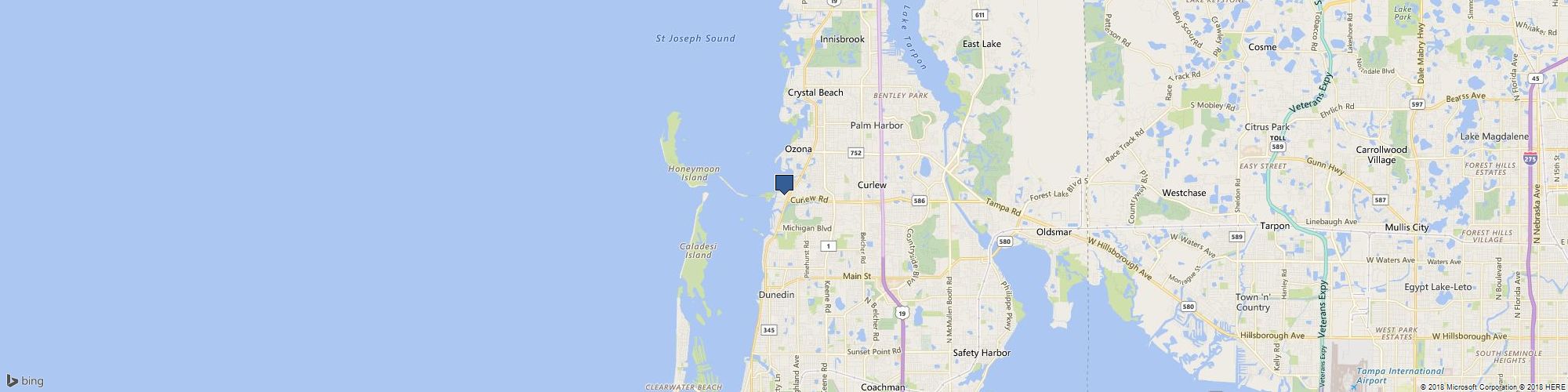 Stardust Flowers cover photo