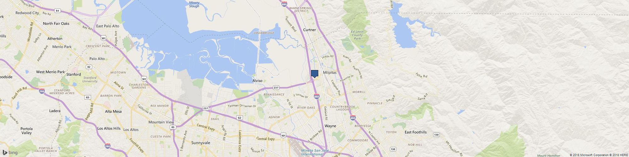 Platinum wildlife removal cover photo