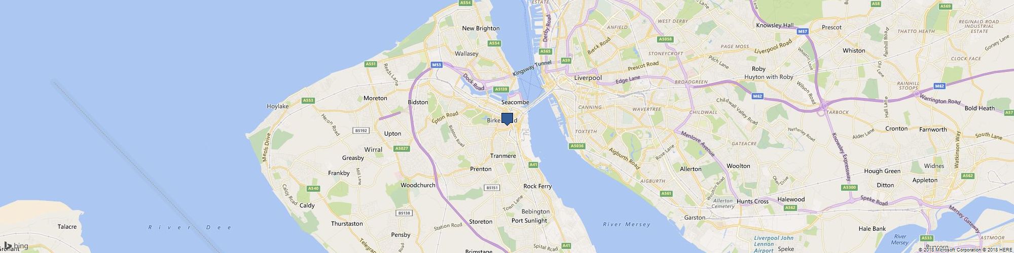 Superior bat removal and animal trapping cover photo