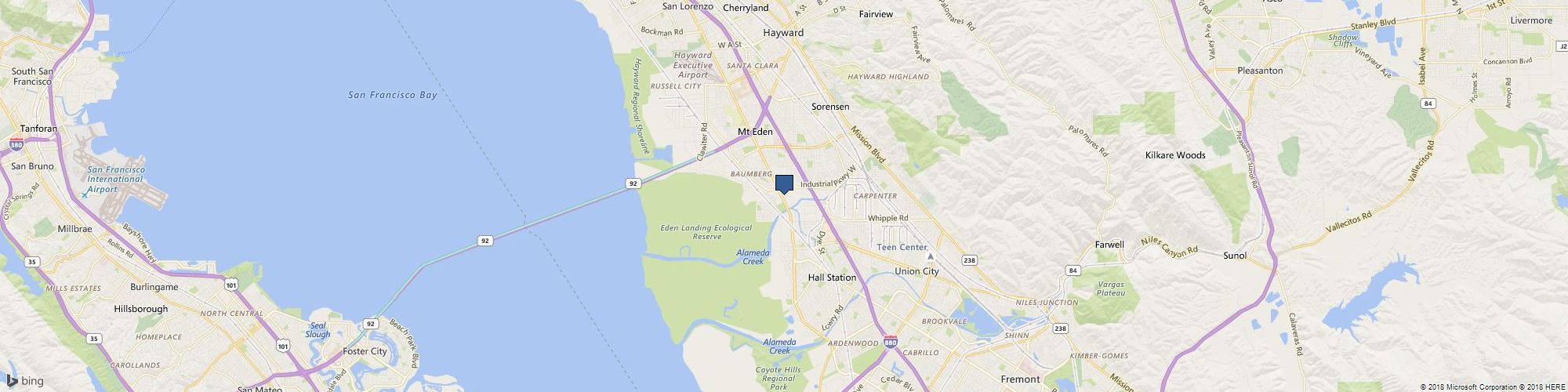 True Essay Help cover photo