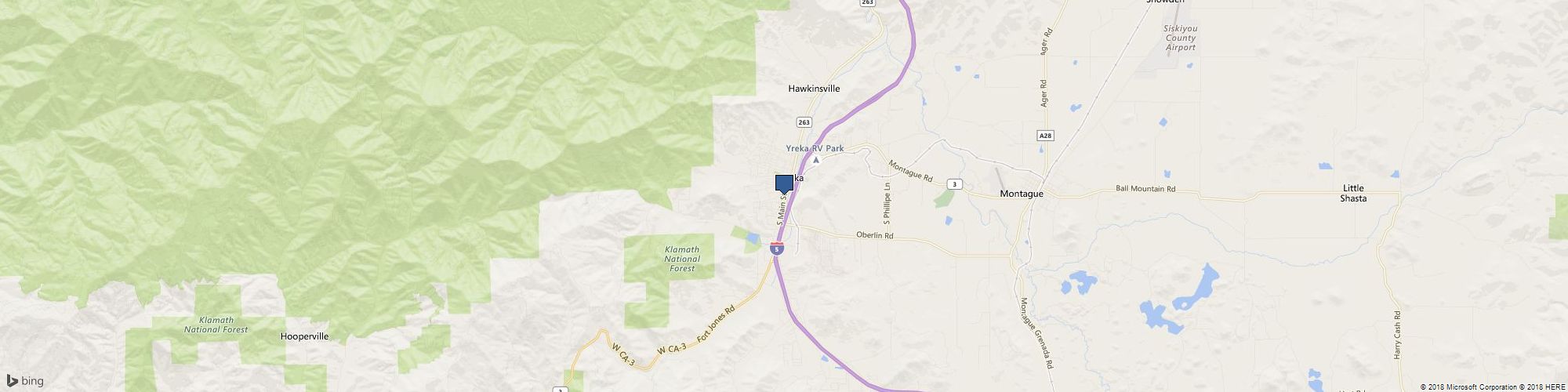 gold leaf pure cover photo