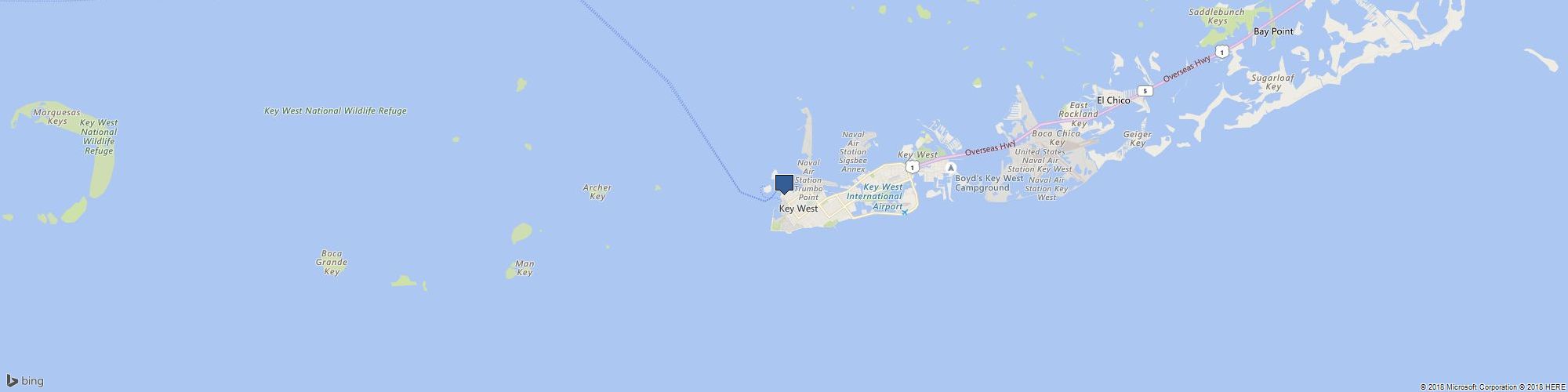 The Woodlands Bat Removal Inc. cover photo