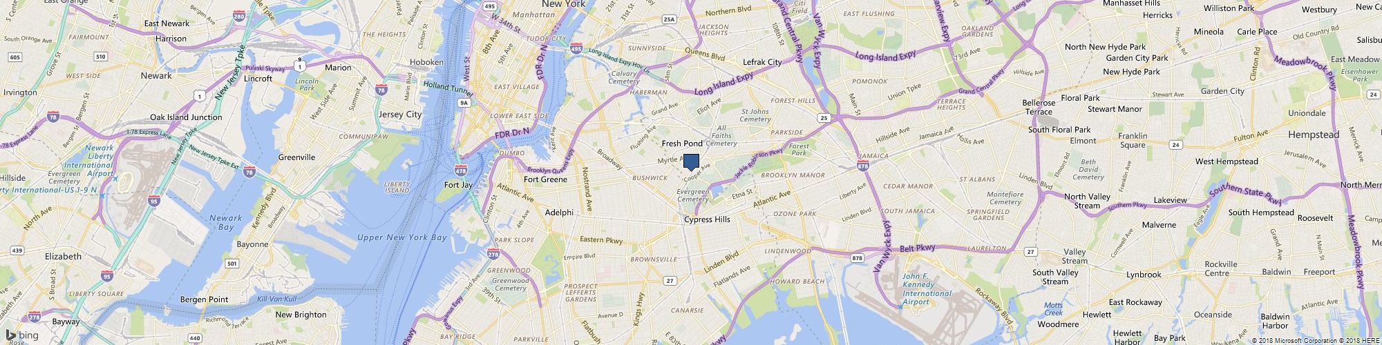 Kiano Lion cover photo