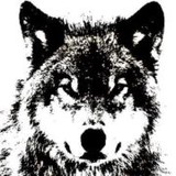 Black Wolf Maintenance - Home Builders & Building Contractors in Homer