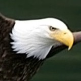 Cheston Clark - Boat  & Yacht Charters in Sitka