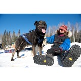 Paws for Adventure Sled Dog Tours - Other in Fairbanks