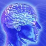 Snider Therapy Center - Optometrists in Birmingham