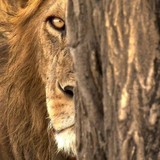 Procat Audio Video Productions - Other in Calera