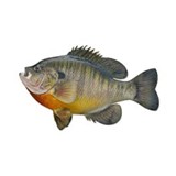 Southern States Game Fish Hatchery - Other in Pike Road