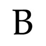 Richard E Browning Pc