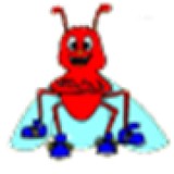 Bugs "R" Us - Pest Control in Mobile