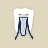 Mullenix Christopher DDS - Dentists in Mobile