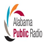 University of Alabama - Business Consulting in Tuscaloosa