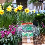 Southern Botanical LLC - Landscape Architects in Birmingham