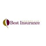 Best Insurance Inc LLC - Insurance in Trussville