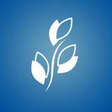 Senior Brookdale Living Communities Inc - Medical Centers in Decatur